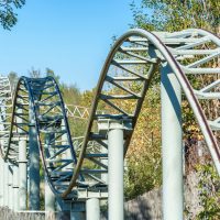 Are you riding a career roller coaster?